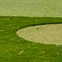 dave pelz research real products image