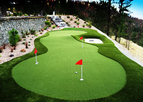 image of custom putting green by synlawn golf