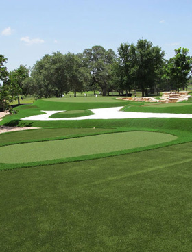 image of backyard putting green by synlawn golf