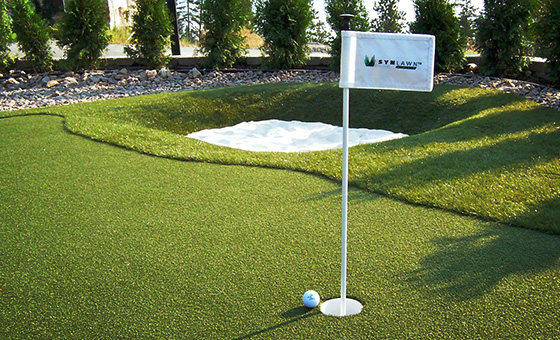 dave pelz elements of practice bunker shots