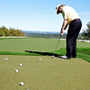 link to by synlawn golf elements of practice