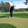 link to by synlawn golf putting greens