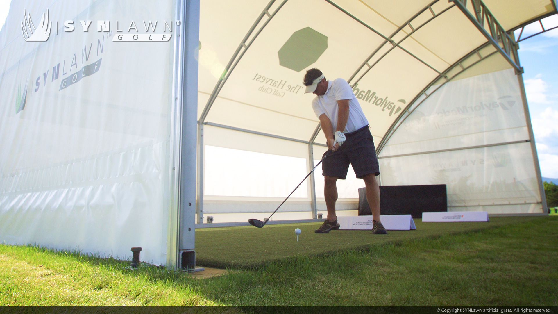 image of artificial golf tee line grass