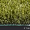 SYNRye 200 - Image 2