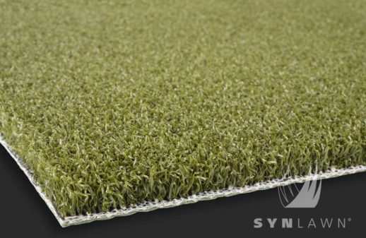 SYNLawn Golf Precision Putt